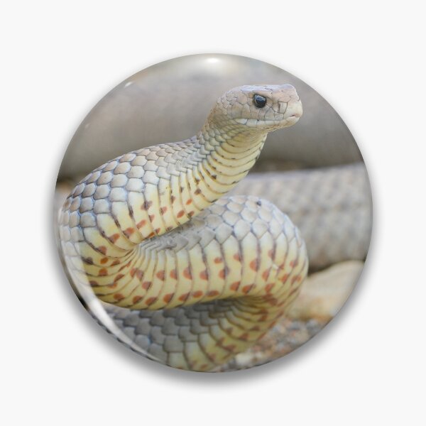 Item preview, Eastern brown snake designed and sold by scar.