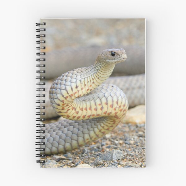 Item preview, Eastern brown snake designed and sold by scar.
