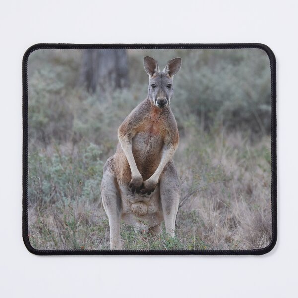Item preview, Red kangaroo  designed and sold by scar.