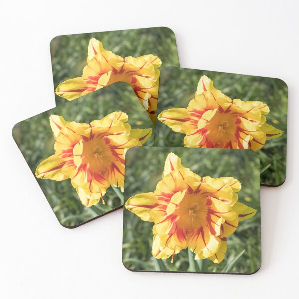 Item preview, Cool Red and Yellow Parrot Tulip with Translucent Petals designed and sold by Georgia Mizuleva.