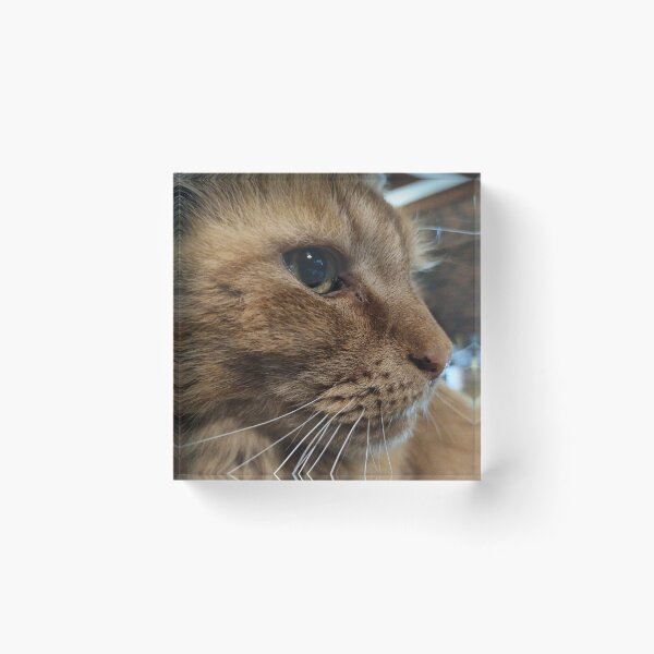 Item preview, Large Ginger Cat Close Up designed and sold by azp74.