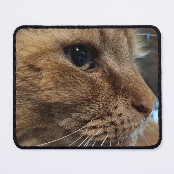 Item preview, Large Ginger Cat Close Up designed and sold by azp74.
