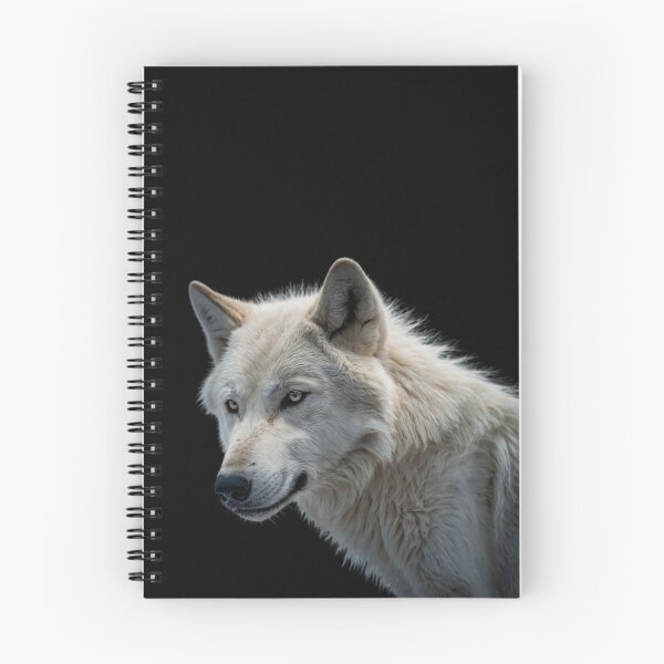 Item preview, Track/Chapter 5 "ABLA AITSEB" - Album/Book 6 designed and sold by GeoWhimsy Studio.