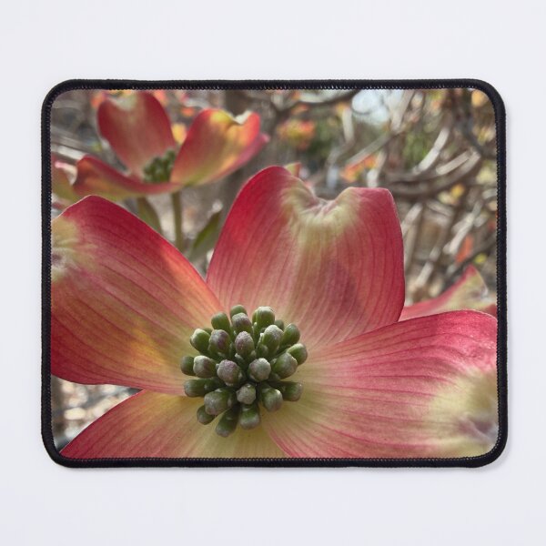 Item preview, Dogwoods are Blooming designed and sold by Betsy Phillips.