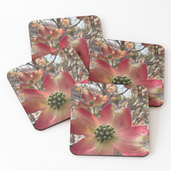 Item preview, Dogwoods are Blooming designed and sold by Betsy Phillips.