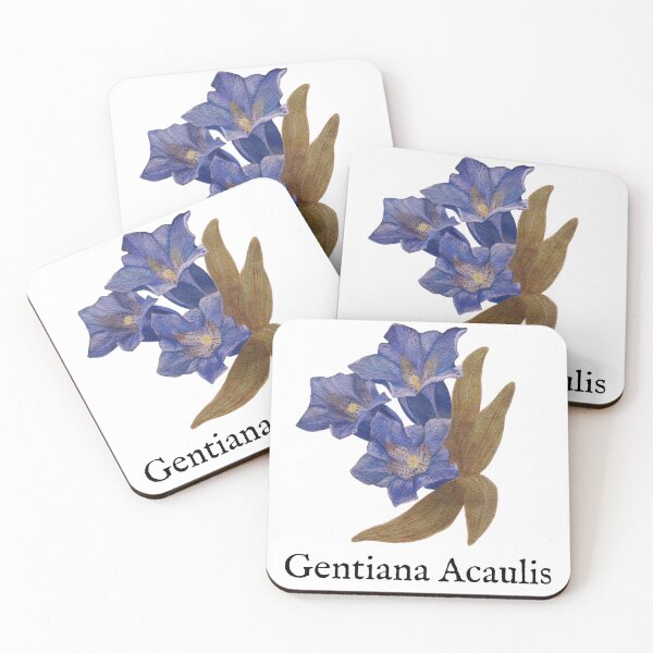 Item preview, Gentian Botanical Art_Gentiana Acaulis_Herbalist Botanical Clipart designed and sold by DesignsByCornea.