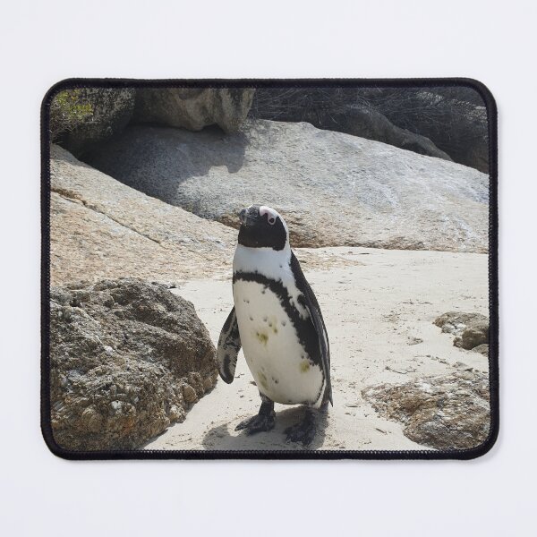 Item preview, Wild African Penguin - Minimalist Ocean Wildlife Illustration | Endangered Penguin Art designed and sold by Megan-Alice.