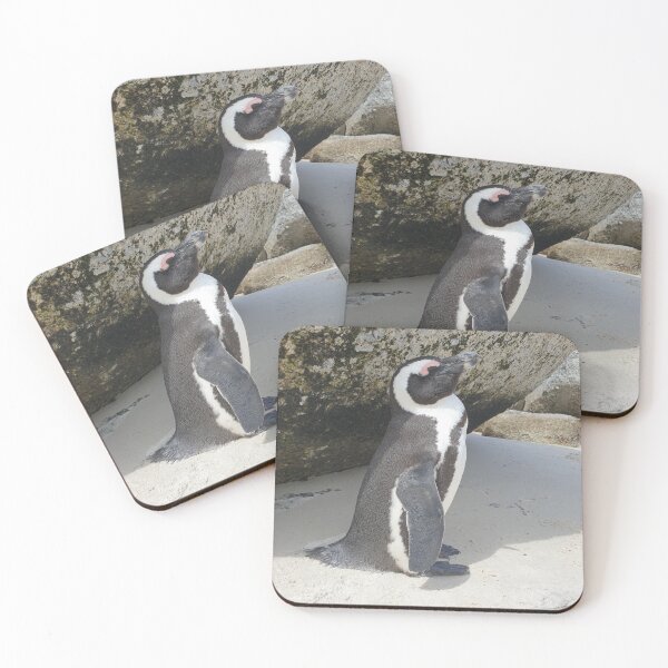 Item preview, African Penguin designed and sold by Megan-Alice.