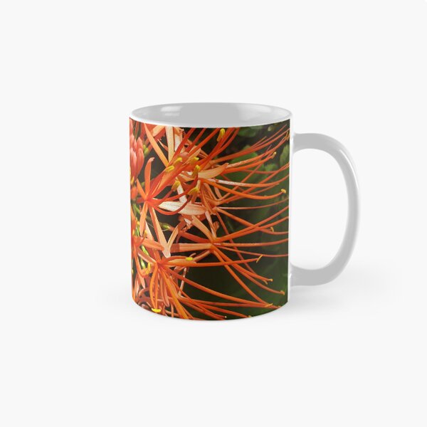 Item preview, Protea alfiletero – Lámina de arte floral minimalista sudafricano | Decoración de pared botánica abstracta designed and sold by Megan-Alice.