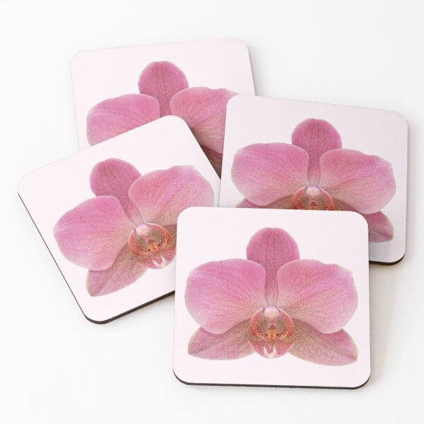 Item preview, pink pastel orchid flower sticker designed and sold by inainart.
