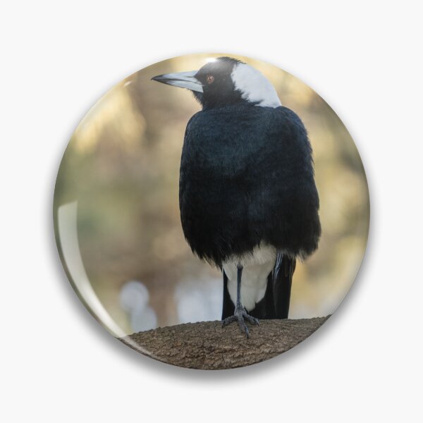Item preview, Australian Magpie in tree designed and sold by mwright068.