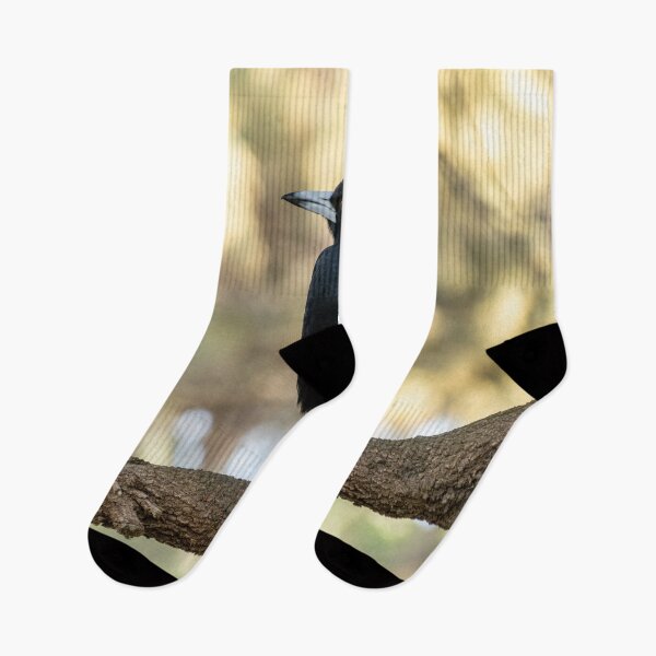 Item preview, Australian Magpie in tree designed and sold by mwright068.