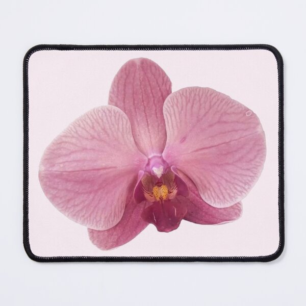 Item preview, pink orchid flower sticker designed and sold by inainart.