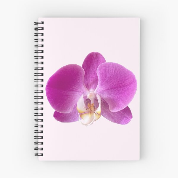 Item preview, purple orchid flower sticker designed and sold by inainart.