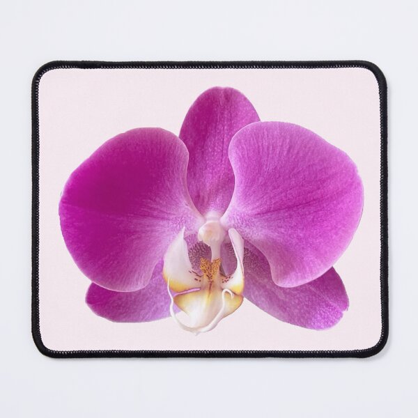 Item preview, purple orchid flower sticker designed and sold by inainart.