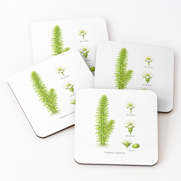 Item preview, plant from the aquarium designed and sold by Atelierby-Anita.