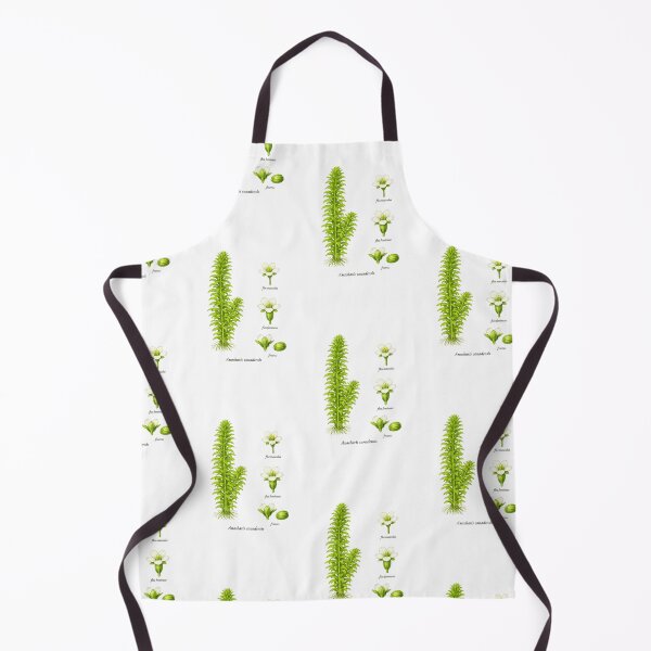 Item preview, plant from the aquarium designed and sold by Atelierby-Anita.