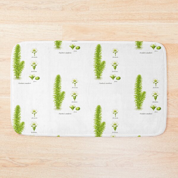 Item preview, plant from the aquarium designed and sold by Atelierby-Anita.