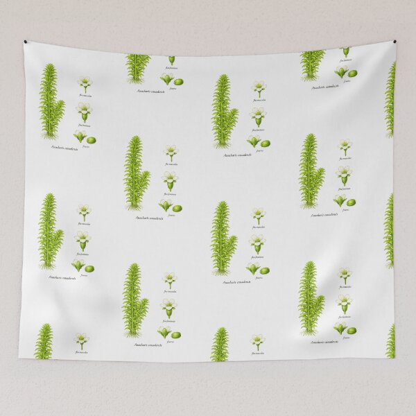 Item preview, plant from the aquarium designed and sold by Atelierby-Anita.