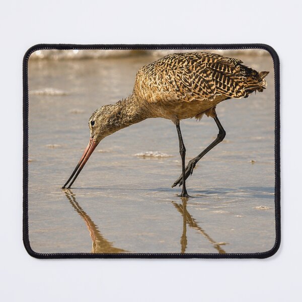 Item preview, Golden Shoreline Godwit designed and sold by Kimberly Palmer.