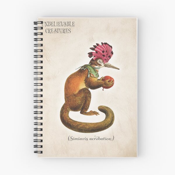 Item preview, Siniavis Acrobatica | Surreal Monkey Bird Hybrid Collage Creature designed and sold by Becky-Poppins.