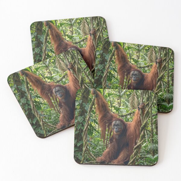 Item preview, King of the Canopy - Majestic Orangutan designed and sold by LittleHandsBigWorld.