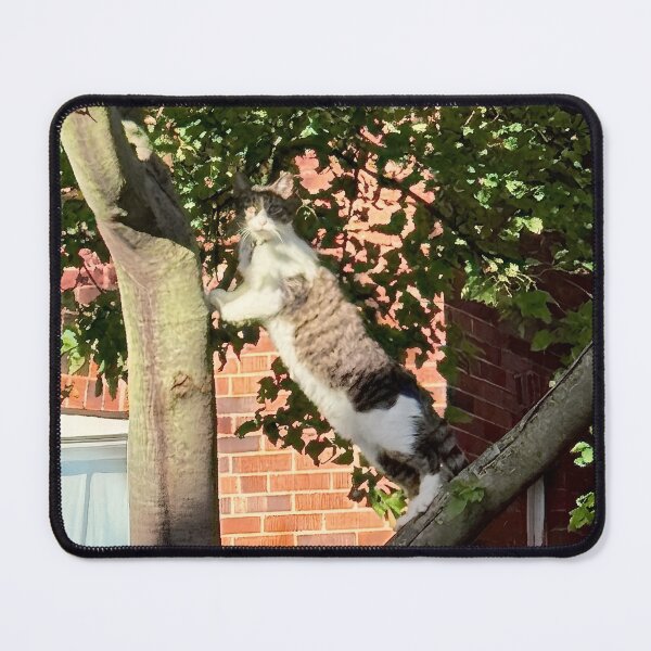 Item preview, The Treehouse Explorer - Sunlit Tabby Cat designed and sold by LittleHandsBigWorld.