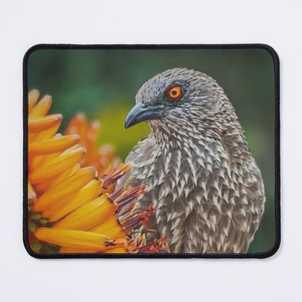 Item preview, Arrow‑Marked Babbler – African Wildlife Bird Photography designed and sold by The Digital Compass.