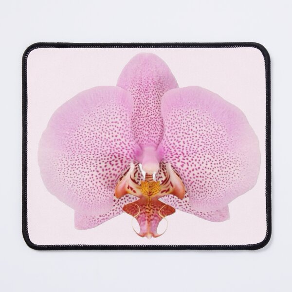 Item preview, pink spotted pastel orchid flower sticker designed and sold by inainart.