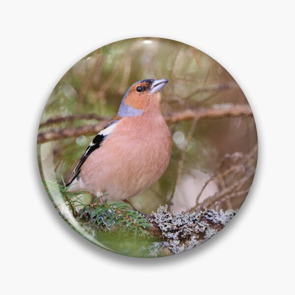 Item preview, Deep in the forest. Eurasian chaffinch Spring 2026 designed and sold by Jouko Lehto Photography.