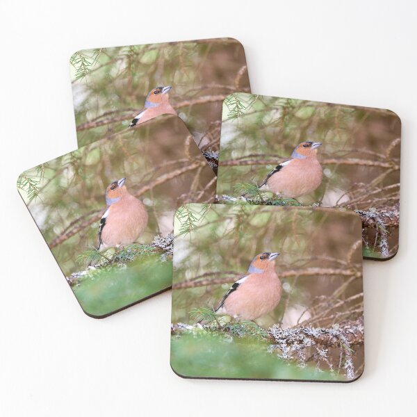 Item preview, Deep in the forest. Eurasian chaffinch Spring 2026 designed and sold by Jouko Lehto Photography.