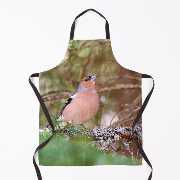 Item preview, Deep in the forest. Eurasian chaffinch Spring 2026 designed and sold by Jouko Lehto Photography.