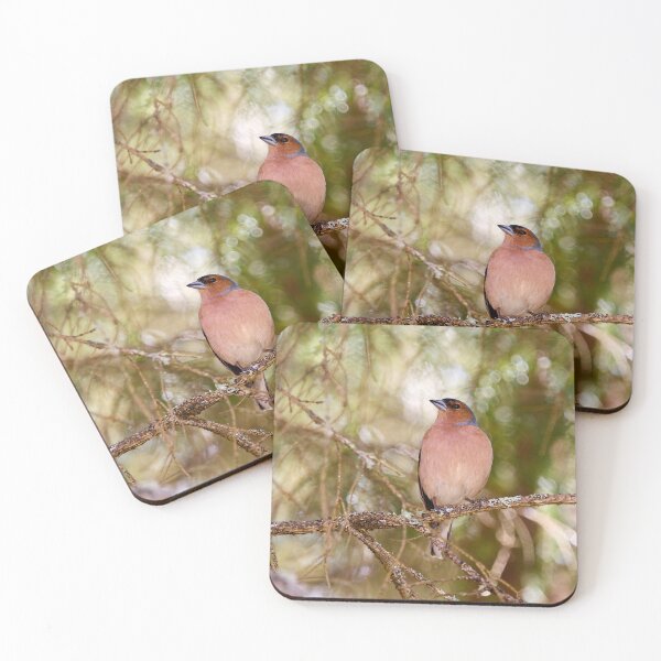 Item preview, Forestlight. Eurasian chaffinch Spring 2026 designed and sold by Jouko Lehto Photography.