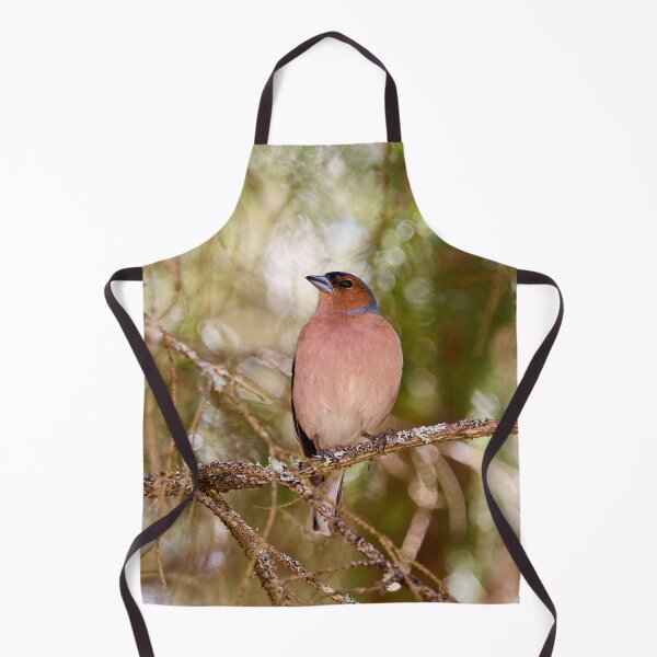 Item preview, Forestlight. Eurasian chaffinch Spring 2026 designed and sold by Jouko Lehto Photography.
