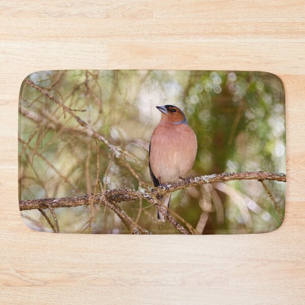 Item preview, Forestlight. Eurasian chaffinch Spring 2026 designed and sold by Jouko Lehto Photography.