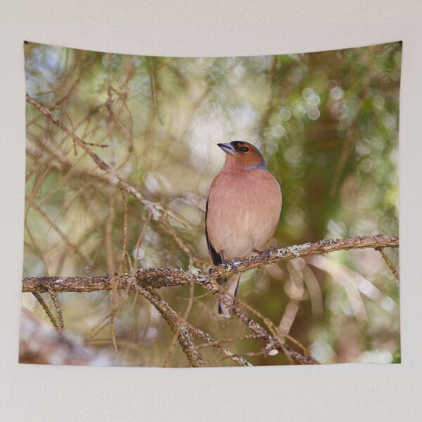Item preview, Forestlight. Eurasian chaffinch Spring 2026 designed and sold by Jouko Lehto Photography.