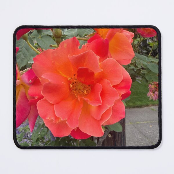 Item preview, Captivating designed and sold by Terrifically Trish.
