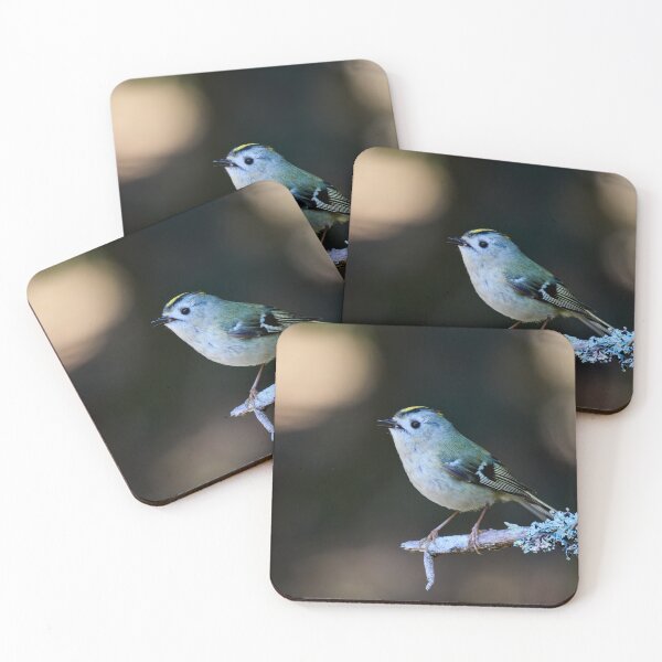 Item preview, Drops of light. Goldcrest Spring 2026 designed and sold by Jouko Lehto Photography.