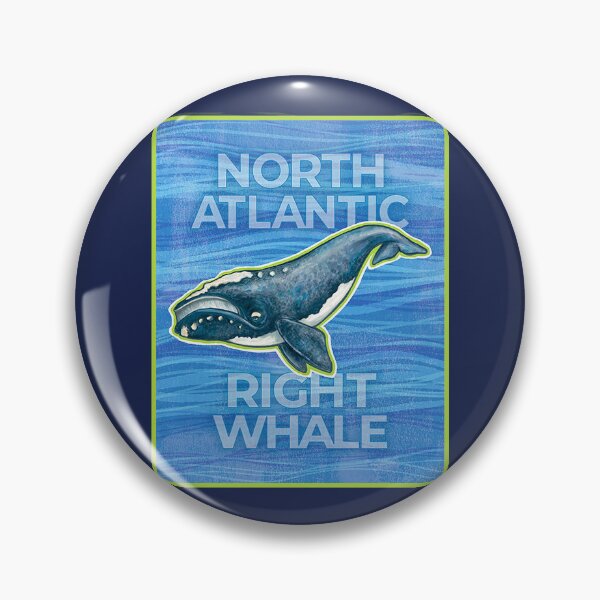 Item preview, North Atlantic Right Whale designed and sold by rorabeenie.