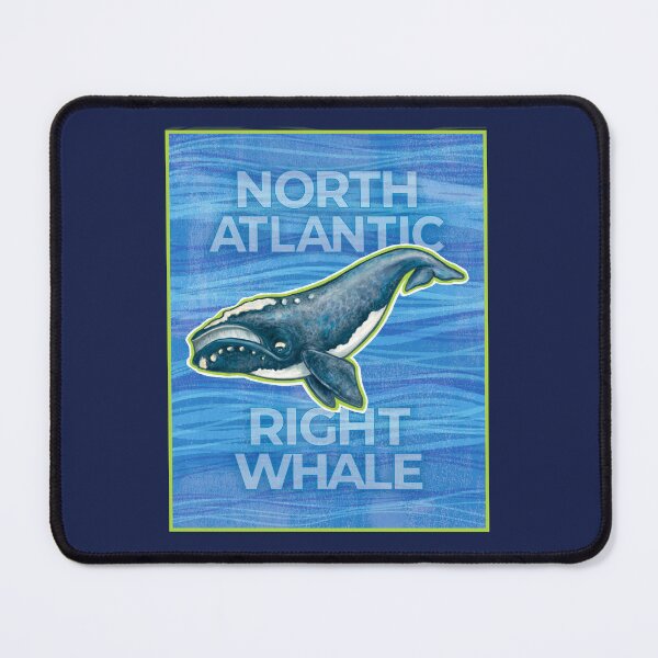 Item preview, North Atlantic Right Whale designed and sold by rorabeenie.