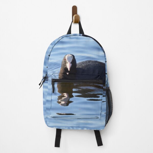 Item preview, The look. Eurasian coot Spring 2026 designed and sold by Jouko Lehto Photography.