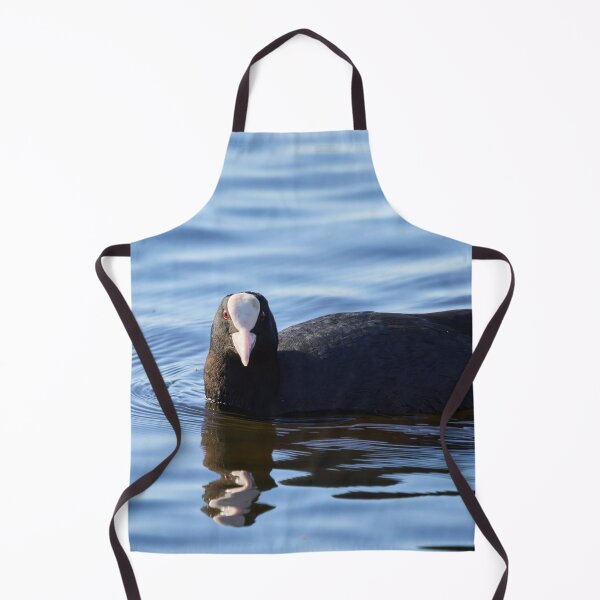 Item preview, The look. Eurasian coot Spring 2026 designed and sold by Jouko Lehto Photography.