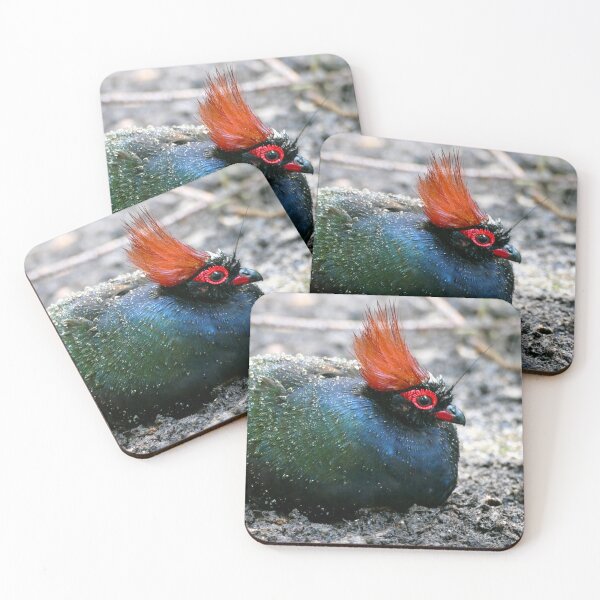 Item preview, Roul Roul Bird designed and sold by Chris Petty.