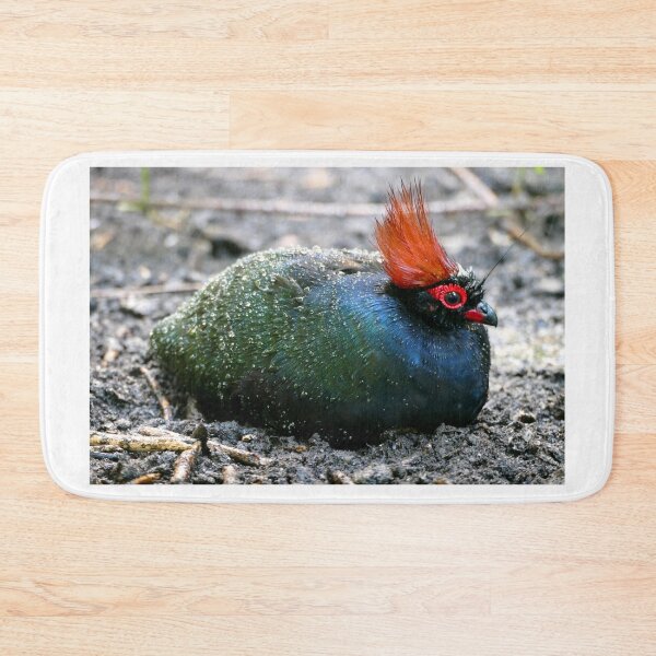 Item preview, Roul Roul Bird designed and sold by Chris Petty.