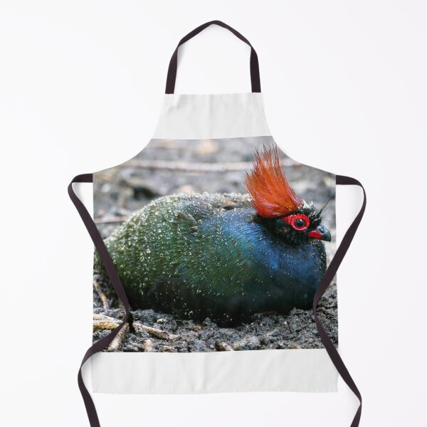 Item preview, Roul Roul Bird designed and sold by Chris Petty.