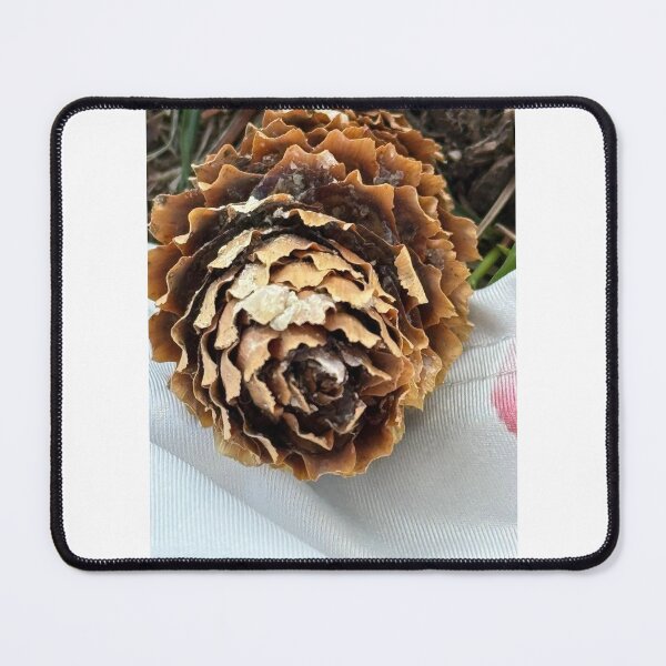 Item preview, Pinecone designed and sold by NadiraKP.
