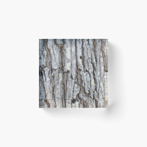 Item preview, Bark designed and sold by DianeValanga.
