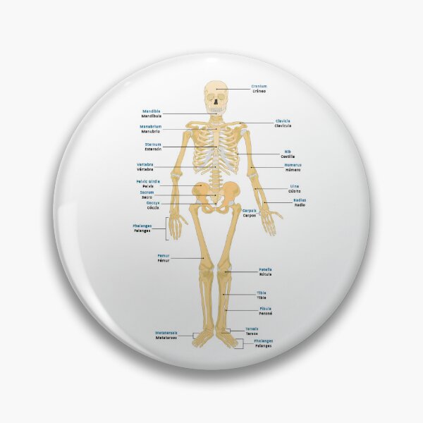Item preview, Bones of the Body designed and sold by NF Designs Studio DTF.