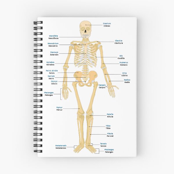 Item preview, Bones of the Body designed and sold by NF Designs Studio DTF.