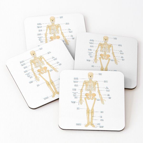 Item preview, Bones of the Body designed and sold by NF Designs Studio DTF.